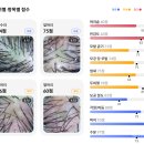 순수배곧화이트점 | 시흥미용실 추천 순수헤어배곧화이트점 AI 두피진단과 클리닉 후기를 남깁니다