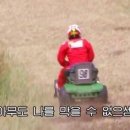 만상여행사 네이버블로그