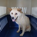 내서읍442 이미지