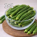 더오크라 네이버블로그