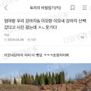 강아지 이모 이미지