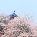 백양사 주차장 화장실 이미지