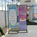 자담농장 | [충남 초등 아이랑 체험 후기] 논산 온누리 딸기농장 l 2026 딸기축제 정보