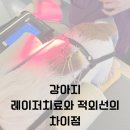 한걸음더 재활한방 동물병원 이미지