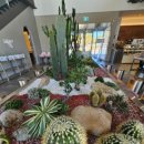 하우스오브금산(HAUS of GEUMSAN BAKERY CAFE) | [진주카페] 로터스 커피, 베이커리에 반하고 강주연못에 또 반하다