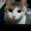놀아줘 - 영등포구 선유동1로 6-7 | 놀아줘
