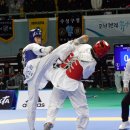 한국체대월드태권도 이미지