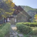인제 맛집 노루목산장 _ 재방문각 낙지보쌈