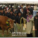 정주영농장 이미지