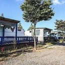 바다의별 이미지