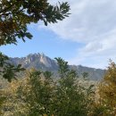 가브리엘농장 | <백 년의 고독> 독서모임 후기(2), 가브리엘 가르시아 마르케스