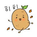 블루코스트 이미지