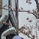 240 | 동상동가브리살 김해율하고기집 롯데아울렛,워터파크 인근 포크밸리 생고기집