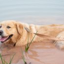 위즈동물병원 이미지