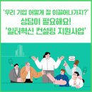아이티경영컨설팅