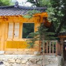 강변숲힐링캠프