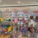 헬로 1204 | 더현대대구 8월 팝업 무모한상점 직접 다녀 온 후기(8월 28일까지 진행중!)