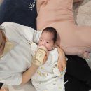 김*희 - 안양시 동안구 경수대로651번길 | 초보맘이 선정한 조은맘산후도우미 김O희 선생님 리얼후기