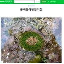 해안짜장면 | [국내여행] 태안 - 11월 말 늦가을 여행 코스 (신두리 해안사구, 파도리 해식동굴 등)