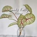 스며든몰 이미지