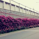 이곡역(3번출구) 이미지