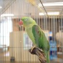 제이마트 이미지