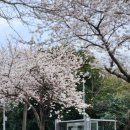 서호동-26 이미지