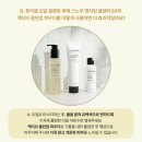 인셀덤신세계