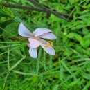 선암농장 이미지