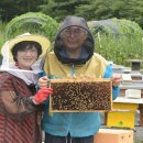 여형구 농장 이미지