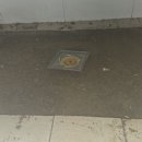 원남초교 이미지