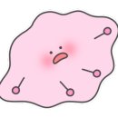 빵앤도넛