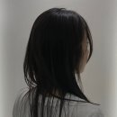 아뮤드 이미지