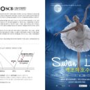 서울시티발레단 백조의 호수 | 온 가족 힐링 동화발레 '백조의 호수' 무대 오른다!
