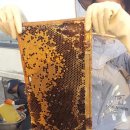 창원과학고등학교 이미지