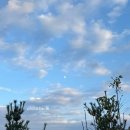 육하원칙 용화점 | 육하원칙 아산 용화점 놀이방 삼겹살 구워주는 고기집