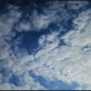 청주탑공인중개사사무소 이미지