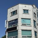 앤드 벨 스토리 | 안산 고잔동 사진관 스튜디오앤드오어에서 강아지 프로필 촬영 후기