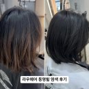 광주미용실 라우헤어 동명힐 염색 톤다운 후기, 광주 동명동 머리잘하는곳 인정!