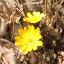 오서산자연휴양림 이미지