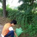탄동천-1 이미지