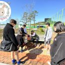 미니미니호계 이미지