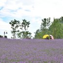 병방산군립공원 이미지