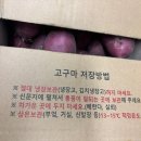 형제농산 - 안양시 만안구 안양로291번길 13 | 형제농산