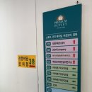 아마죤탁구교실
