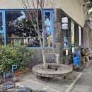 하영올레 1코스 | 하영올레1코스 (+엠스테이호텔)