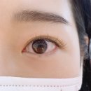 서울대입구 속눈썹 이따블리 ETABLI