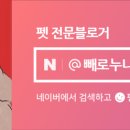 퍼스널댕댕 이미지