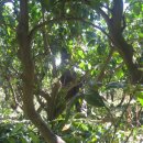 이슬농장 이미지