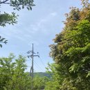 진안 용담호, 위봉사 철쭉정원, 팔복동 철길과 아가페 정원 여행(24.04.28) 이미지